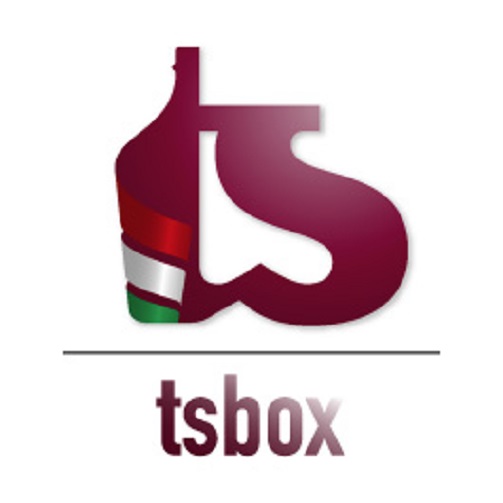 TsBox-logo